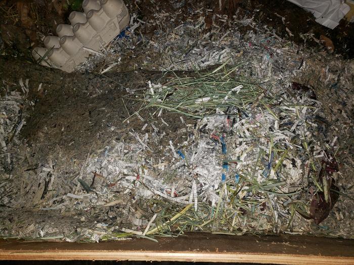 Old bedding into the compost pile