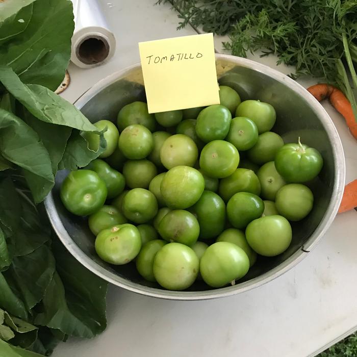 Our first harvest of tomatillos 