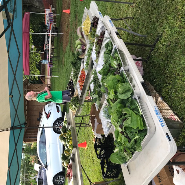 Our market table this morning. 