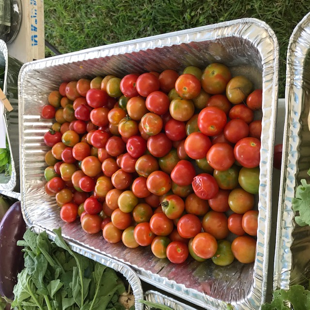 These little landrace tomatoes are sweet, tasty, and quite popular. 