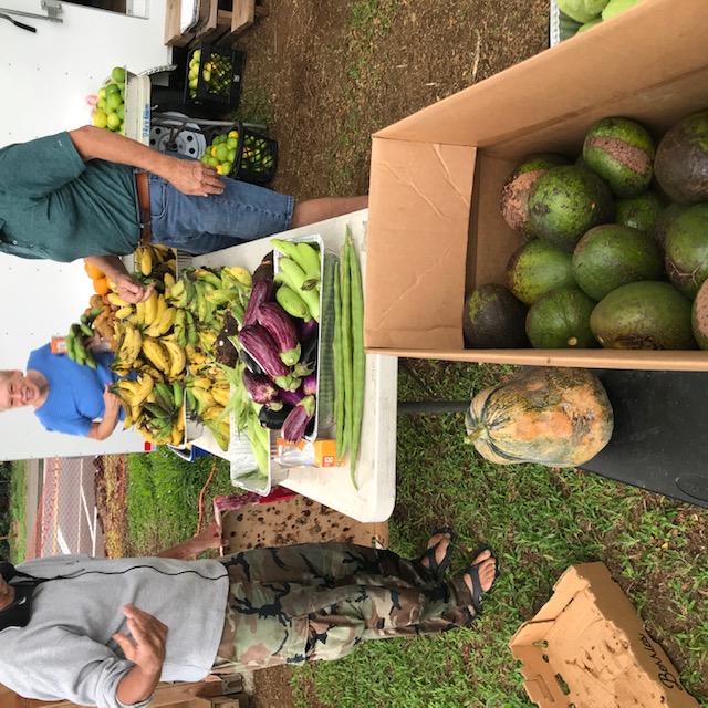 Avocados, pumpkin, moringa pods, eggplant, sweet corn, and bananas galore!