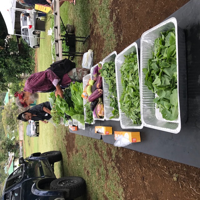 We are still setting out the veggies in aluminum trays. Not ideal, but it works. 