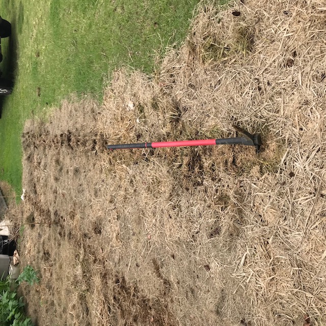 Using a light mattock to open up a new row. 