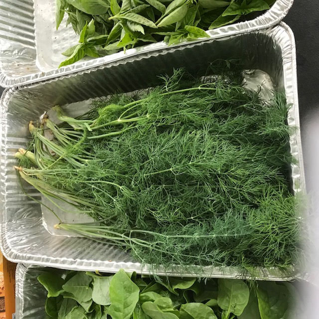 Dill. While not rare, I’ve never seen it being sold at the farmers markets here. 