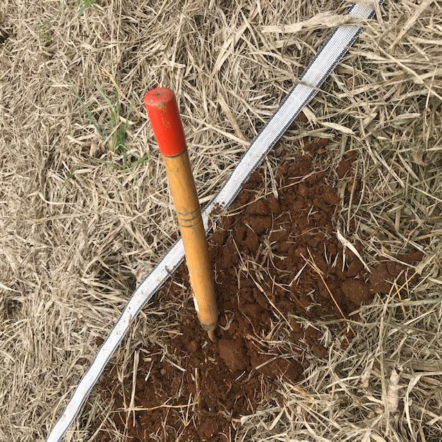 Angling the blade so that one of the points does the work, I pull it through the soil to loosen up the row a bit at a time. 