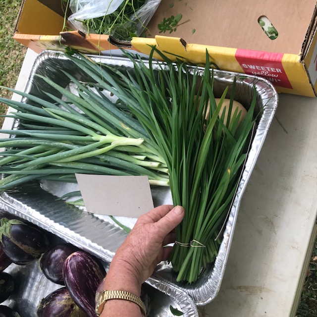 Garlic chives and green onion leaves