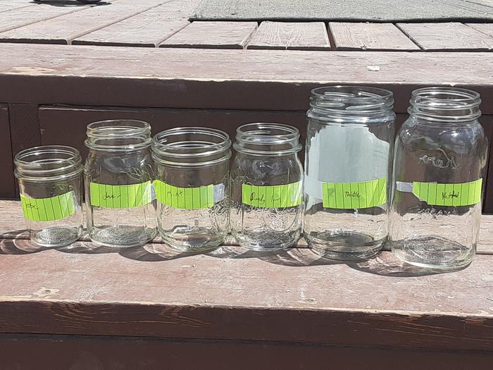 Jars with labels