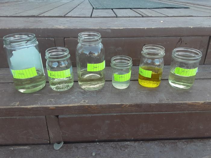 6 different kinds of tea