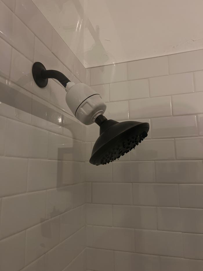 Shower filter