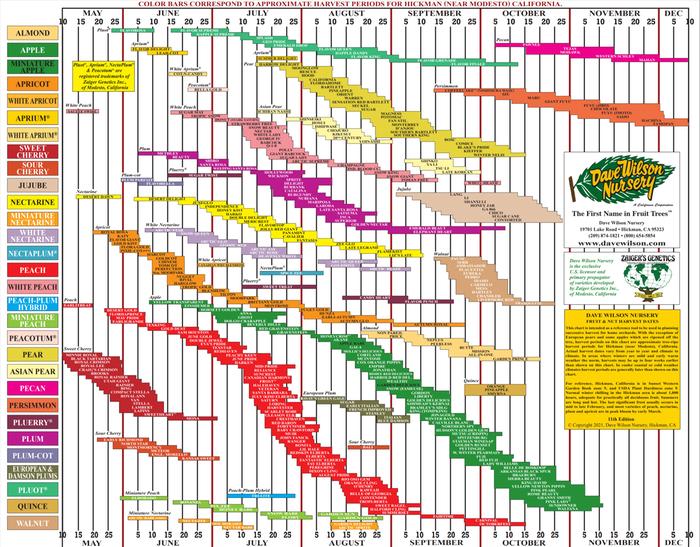 harvest times for fruit in california