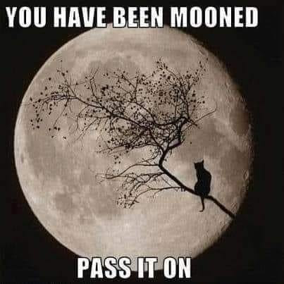 [Thumbnail for mooned.jpg]