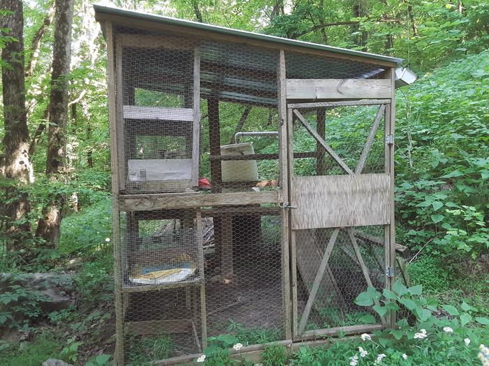 chicken coop in forest