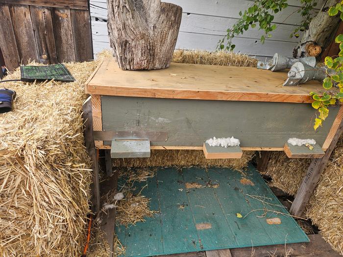 Assembled, with the lid on in its new home. I have wool plugs in the extra entrance holes because my bees didn't need that much space. n