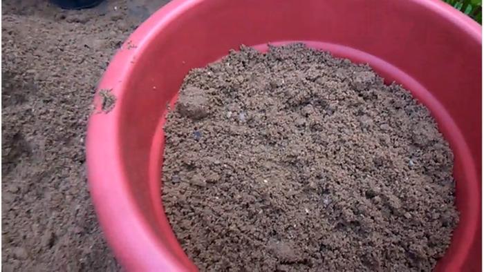 [Thumbnail for plastic-container-filled-with-soil.jpg]