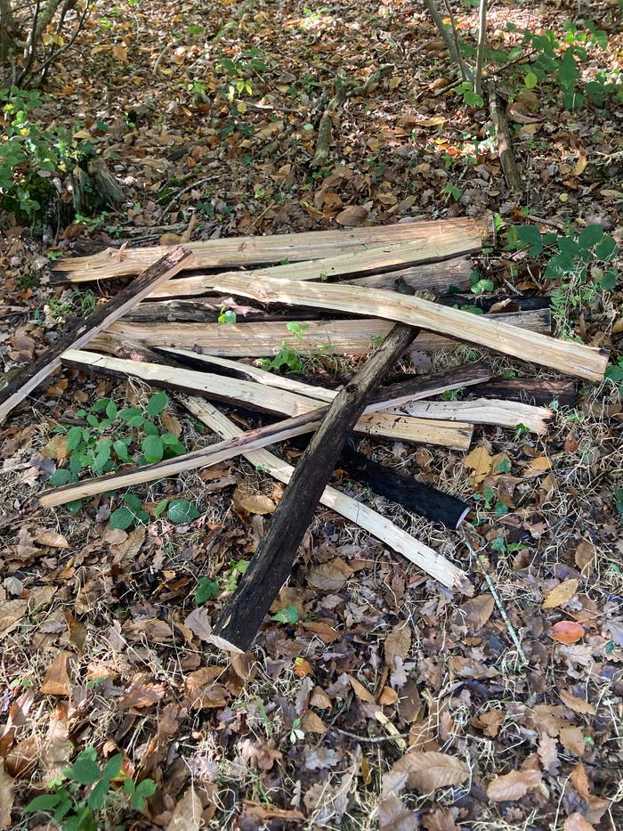 Some split logs - these were felled ten years ago. Chestnut is remarkable for resisting rot. The heart wood is rock solid.