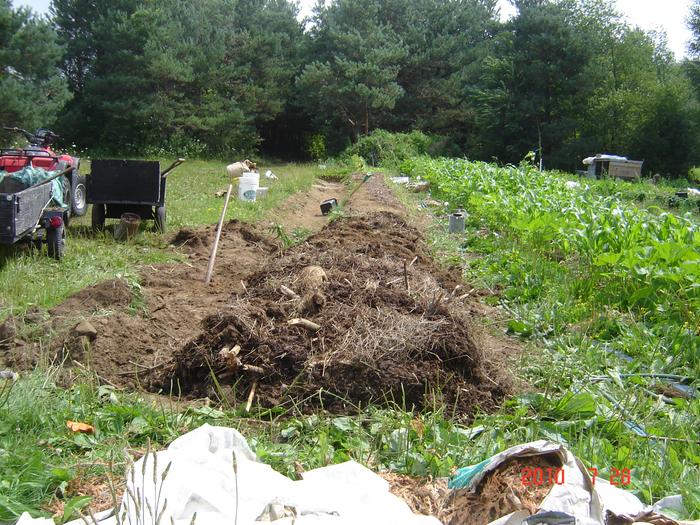 The horse manure (with hay mixed in) went on next. We put a layer about 4-6 inches thick.