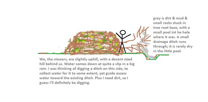 [Thumbnail for hugel-my-tree2.png]