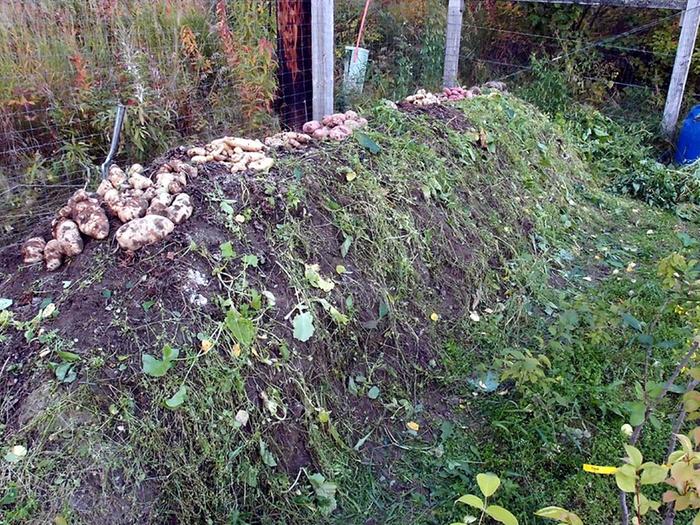After the harvest