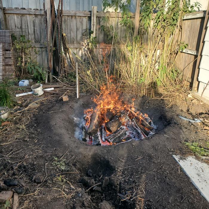 [Thumbnail for 20251008_084720.jpg]