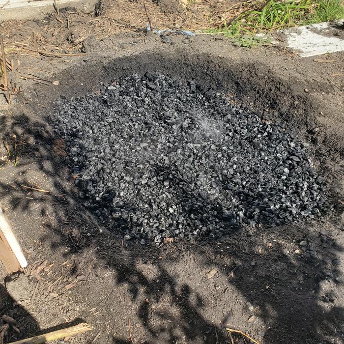 [Thumbnail for 20251008_121726.jpg]