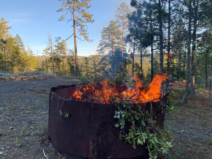 [Thumbnail for IMG_7870.jpeg]