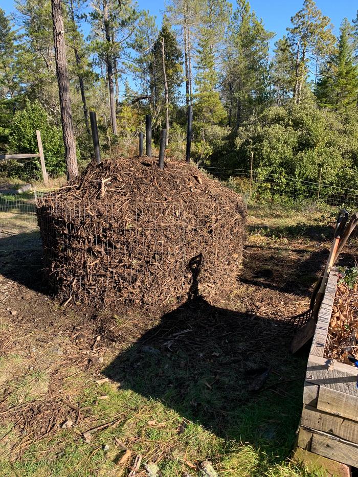 [Thumbnail for IMG_8035.jpeg]