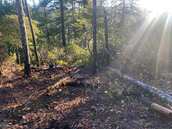 [Thumbnail for IMG_8150.jpeg]