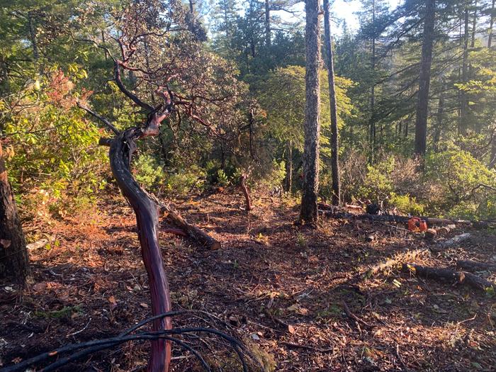 [Thumbnail for IMG_8151.jpeg]