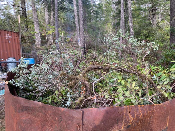 [Thumbnail for IMG_8155.jpeg]