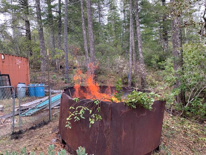 [Thumbnail for IMG_8158.jpeg]