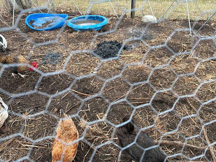 [Thumbnail for bucket_3.jpg]