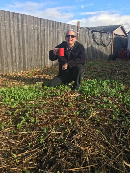 Daikon Radish vs Clay Layer (gardening for beginners forum at permies)
