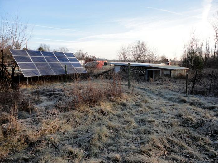 A frosty winter solstice morning here on my tiny homestead.