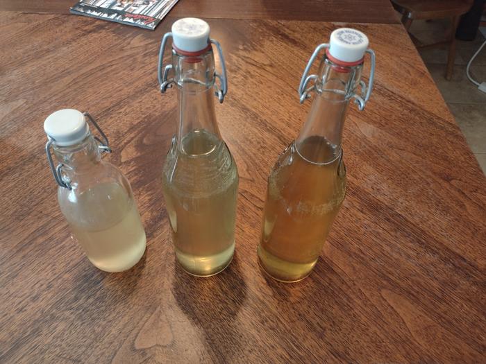 Kombucha is done 