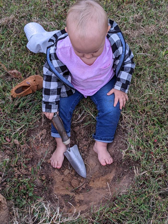 Roo helped me dig a hole in our yard