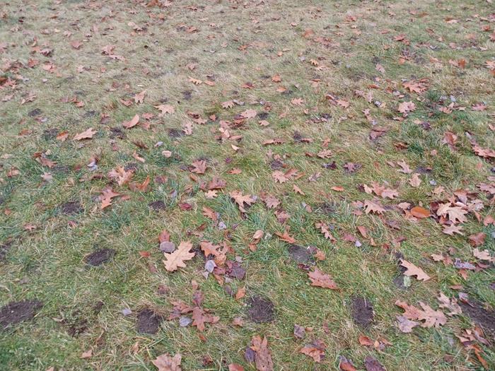 Camas install begins