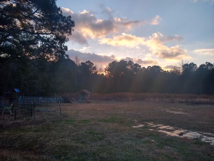 [Thumbnail for IMG_20220111_080137641_HDR.jpg]