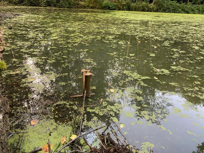 stick-marking-waterlevel