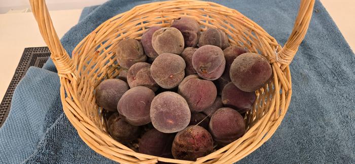 basket of peaches