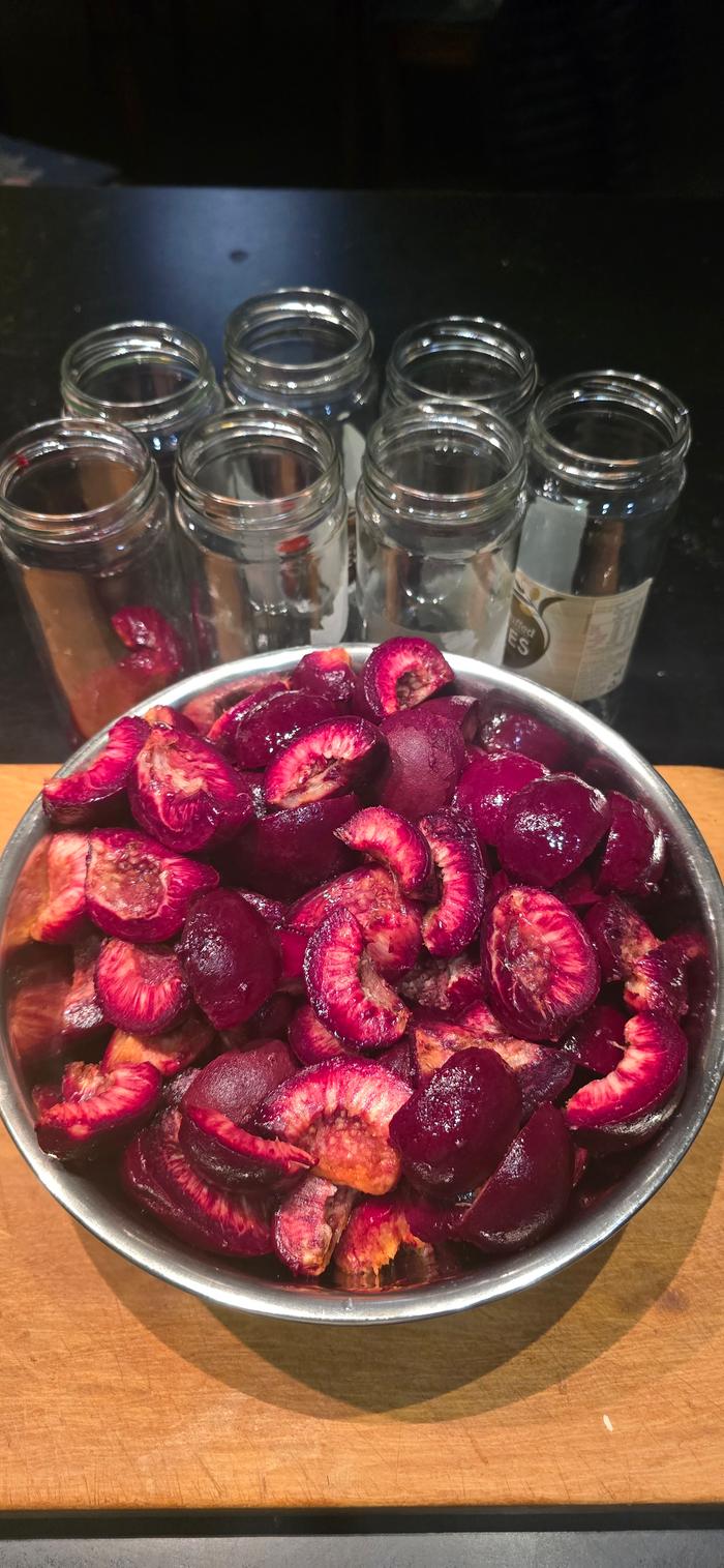 Quartered blood peaches