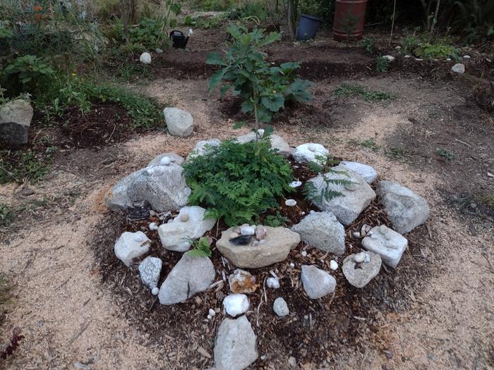 [Thumbnail for IMG_20210825_200533963.jpg]