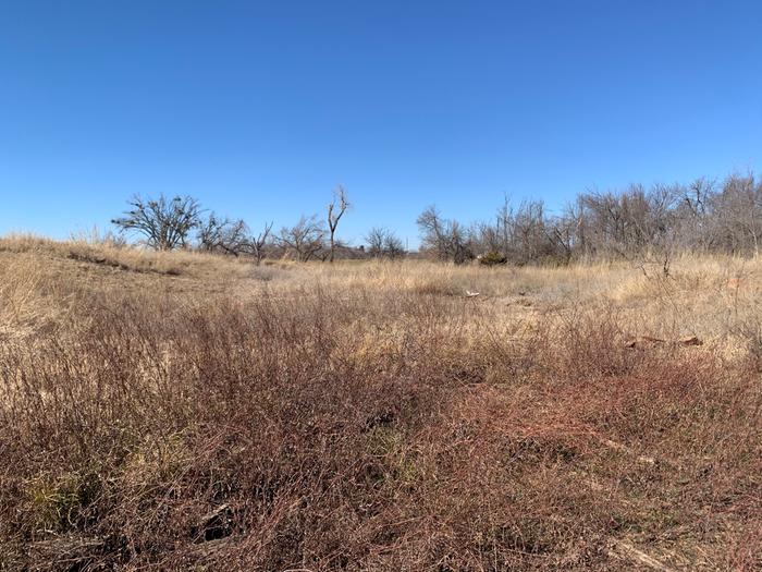 [Thumbnail for F82FD452-2604-48A3-8BE1-A003DFEFF878.jpeg]