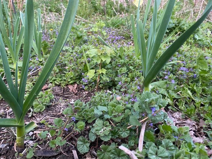 [Thumbnail for IMG_0953.jpeg]