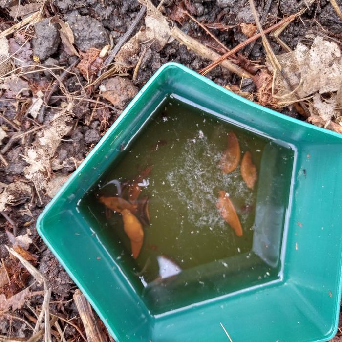 Catch of the day!
