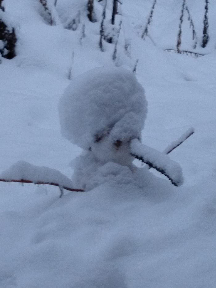 A snow man Will left here that just kept evolving every time it snowed. It got big hair the first snow and then it turned into a penguin. It's completely buried now tho. 