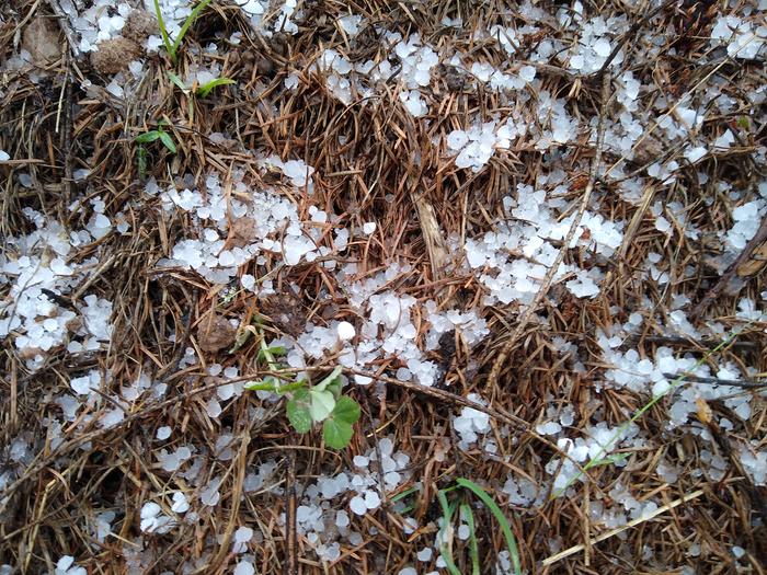 Natures slowish release hydro capsules called hail. 