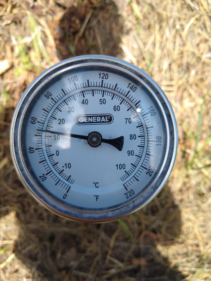 The soil temps are rising, the rain has been steady and plants are boosted for summer. 