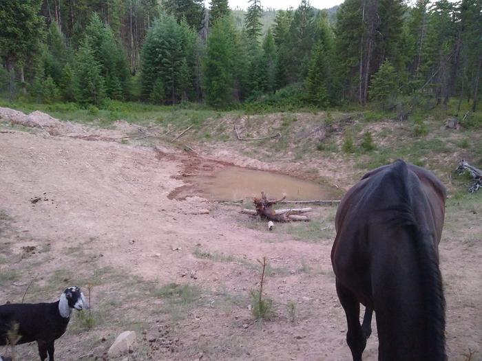 The pond is getting overflow from the well again, issue not resolved however, variables reduced.