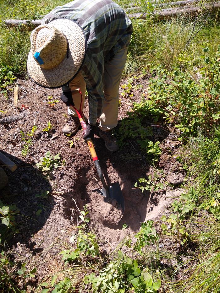 Hao and I starting digging a hole to fit a 55gl barrel on Fred's plot