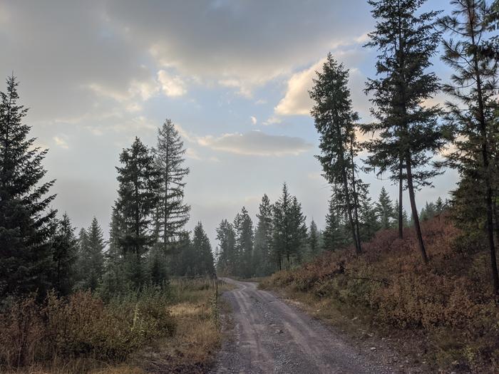 foggy mountain road down the way in morning. 